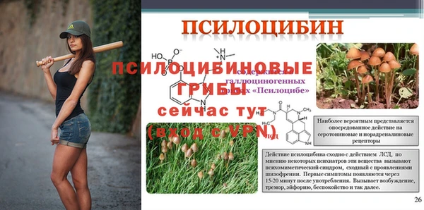 трава Михайловск