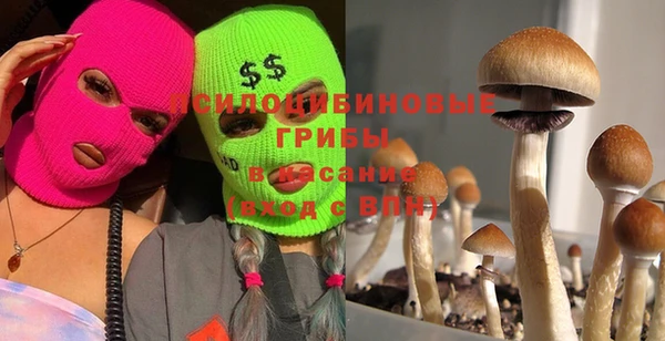 трава Михайловск
