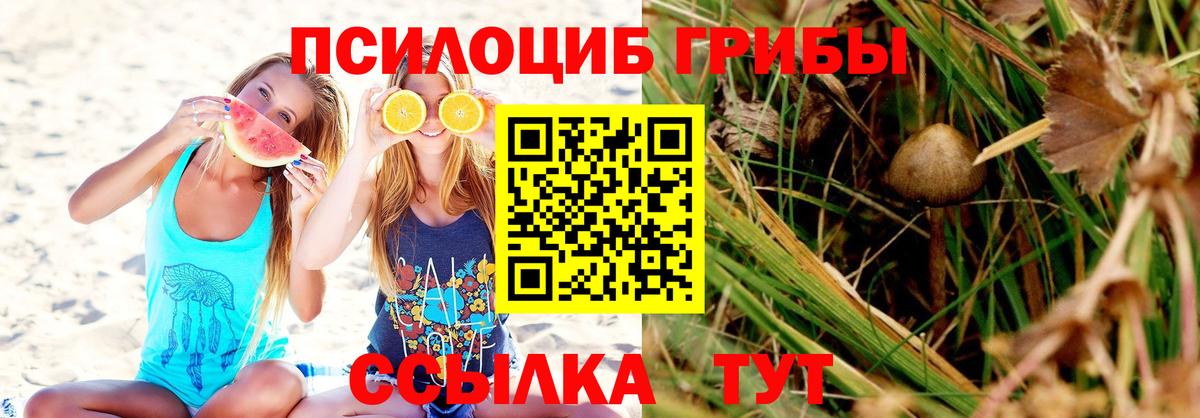 Галлюциногенные грибы мицелий  Шебекино  Псилоцибиновые грибы мухоморы 