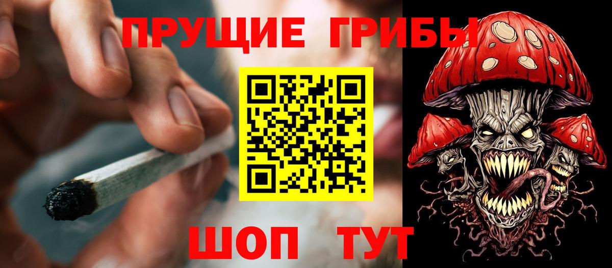 Галлюциногенные грибы MAGIC MUSHROOMS  Галлюциногенные грибы Psilocybine cubensis  Вход с VPN  Шебекино 
