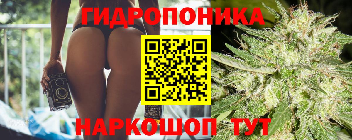 Канабис планчик Шебекино